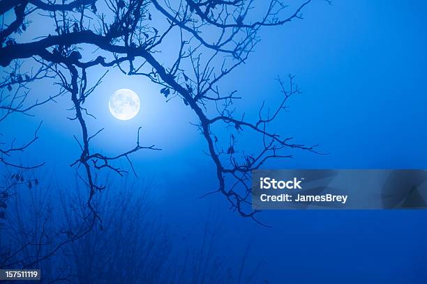 Był Niesamowity Blue Moon Do Października Mgła Scarry Dąb Oddziałów - zdjęcia stockowe i więcej obrazów Pełnia księżyca
