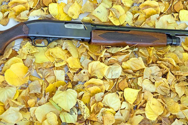 istock Yellow Leaves and Shotgun... Close-up 157511147