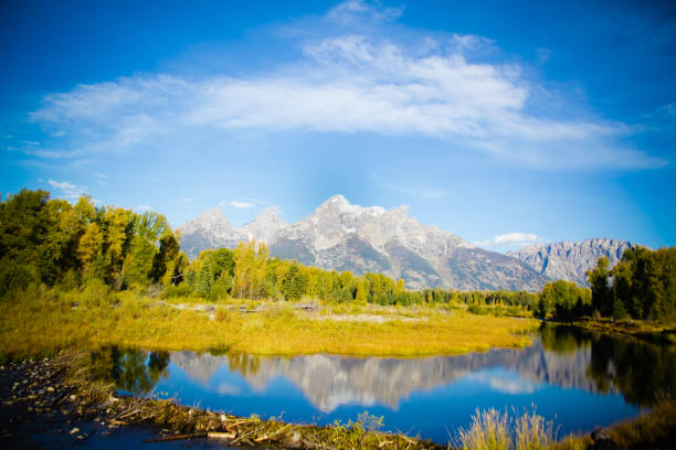 Natural Beaver Dam in the mountains