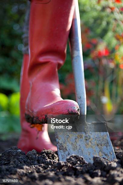 Cavar Com Espada No Jardim - Fotografias de stock e mais imagens de Cavar - Cavar, Ao Ar Livre, Cor verde