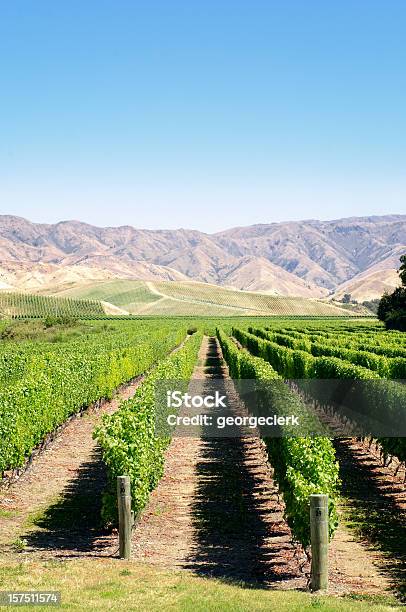 Photo libre de droit de Vines Et Les Montagnes banque d'images et plus d'images libres de droit de Agriculture - Agriculture, Beauté de la nature, Bleu