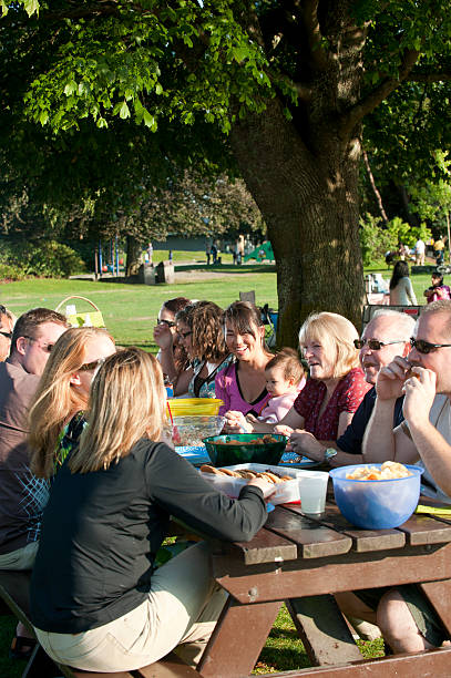 istock Family Picnic 157511608