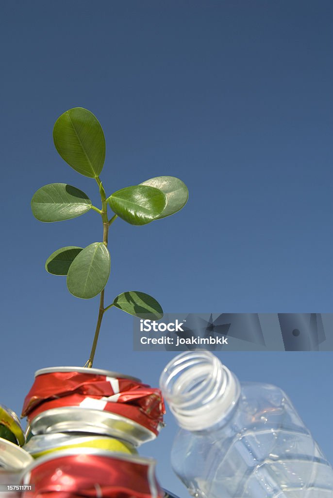젊은 녹색 잎 성장하는 메트로폴리스 불결 쓰레기 against blue sky - 로열티 프리 0명 스톡 사진