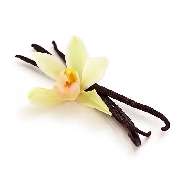 Photo of Vanilla Beans and Orchid