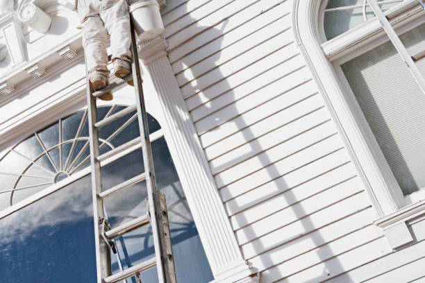 House Painter on a Ladder stock photo