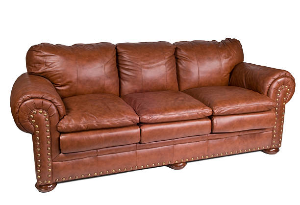 Elegant leather sofa  leather couch stock pictures, royalty-free photos & images