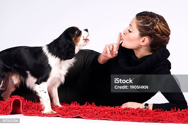 Perro Ruidosos Foto de stock y más banco de imágenes de Aullido - Aullido, Perro, Adulto