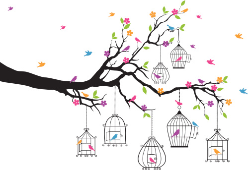 tree branch with birds and birdcages, vector illustration