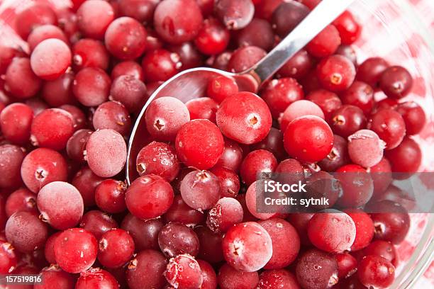 Helado De Arándano Rojo En Tazón De Servilleta Foto de stock y más banco de imágenes de Alimento - Alimento, Bosque, Cocinar