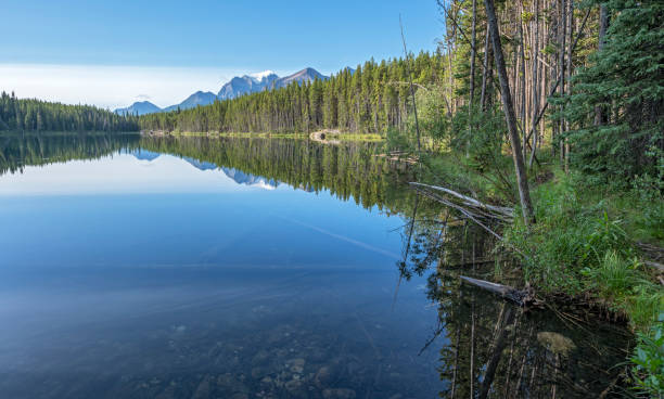 istock Morning Reflections in Herbert Lake 1575199139