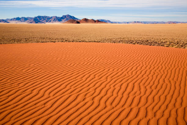 nationalpark науклюфт - savannah africa steppe namibia стоковые фото и изображения