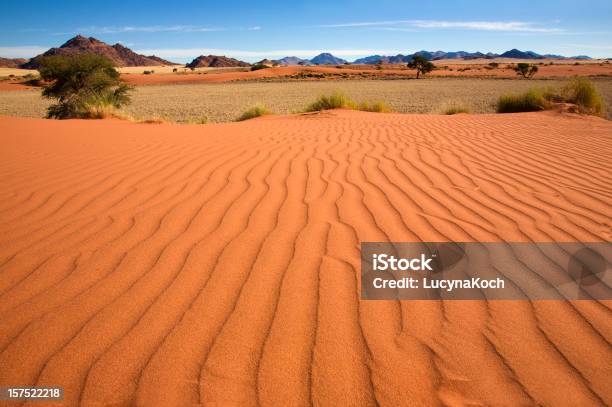 Naukluftfilm Title Stockfoto und mehr Bilder von Afrika - Afrika, Ausgedörrt, Baum