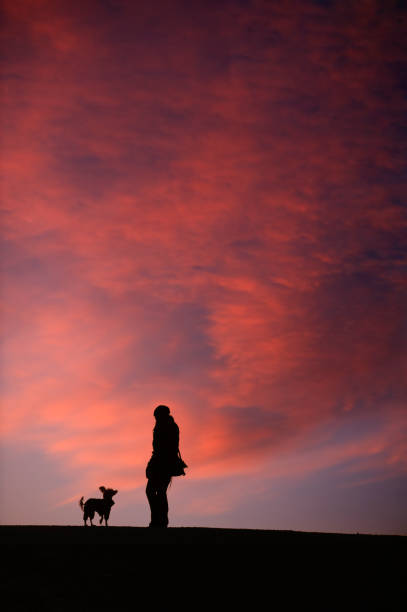 istock Woman with her dog 157522404