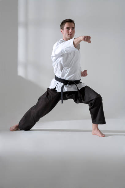 istock Young man martial artist 157522460