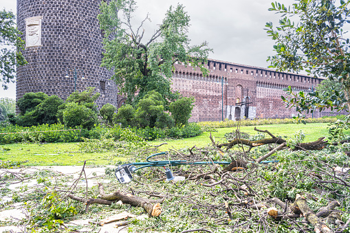 Damage with trees snapped and uprooted after a tornado, near Castello Sforzesco, in Milan, Italy. July 25, 2023
