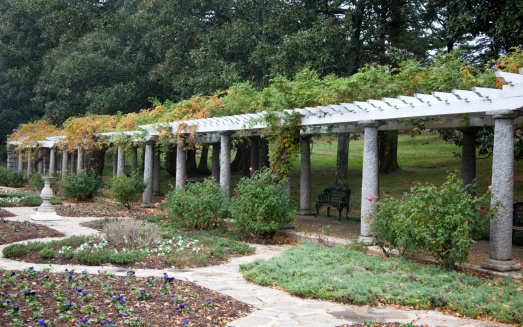 Maymond Garden's (Richmond, Virginia) Italian pergola is a structure consisting of parallel rusticated granite colonnades supporting a trellis-work roof on which two species of wisteria are trained. The pergola terminates under a dome- which the slightest sound produces a curious echo. Horizontal.-For more Richmond, Virginia, click here.  RICHMOND, VIRGINIA 