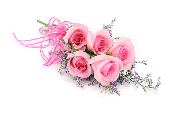 Pink rose bouquet and mauve foliage isolated on white background stock photo