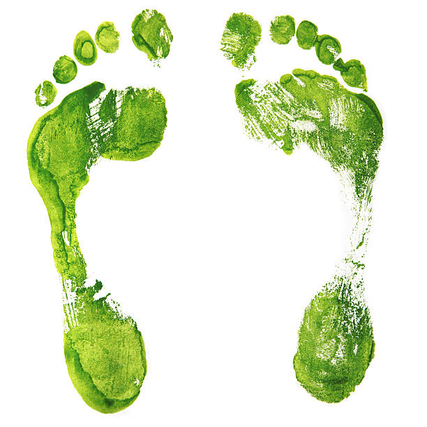 istock Green Footprints - isolated XXL 157522974