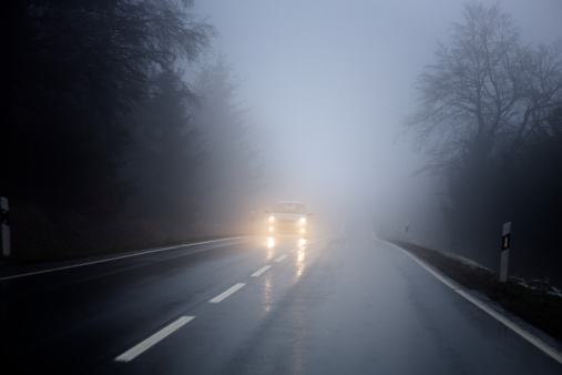 Mist drifts across a dirt road running through a mysterious pine forest.