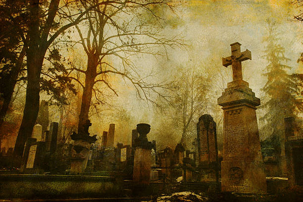 vintage cluj friedhof - gothic style horror cemetery spooky stock-fotos und bilder