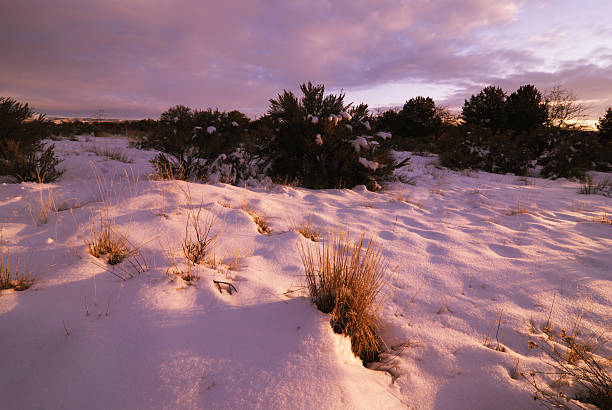 pôr-do-sol do inverno - idaho boise sunset scenics - fotografias e filmes do acervo