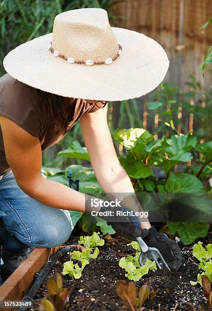 여자 Gardener 30-39세에 대한 스톡 사진 및 기타 이미지 - 30-39세, 가정 생활, 갈색 머리
