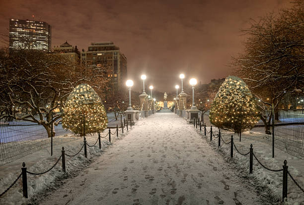 istock Boston Public Garden at Night 157523523