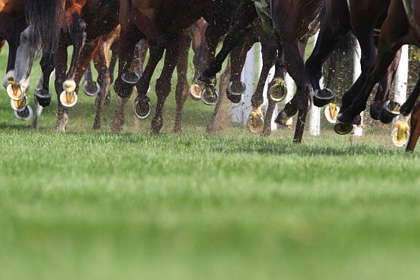 Horse Running  hooves stock pictures, royalty-free photos & images