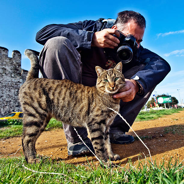 istock photographer and cat 157524004