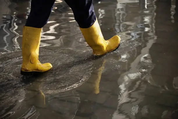 Photo of In The Flood Water