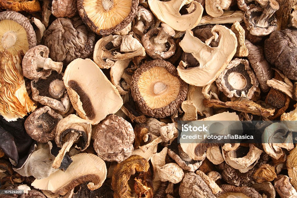 Gemischte Getrocknete Pilzen - Lizenzfrei Speisepilz - Gemüse Stock-Foto