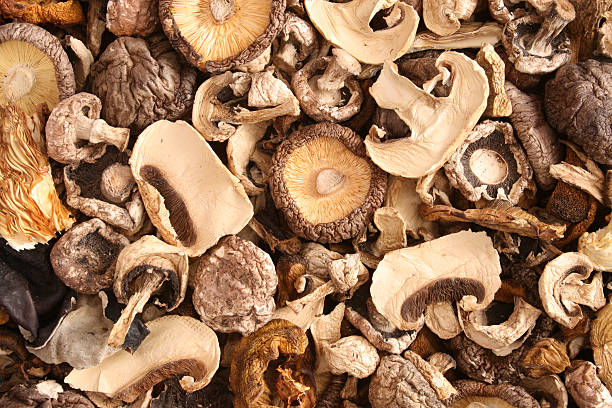 gemischte getrocknete pilzen - shiitake mushroom edible mushroom mushroom dry stock-fotos und bilder