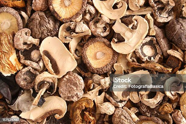 Смешанная Сухое Грибами — стоковые фотографии и другие картинки Съедобный гриб - Съедобный гриб, Сухой, Сушёные продукты
