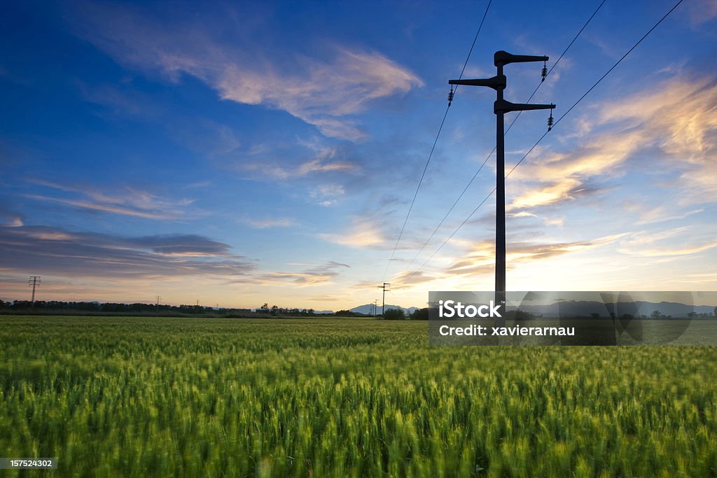 Energy - Lizenzfrei Agrarbetrieb Stock-Foto