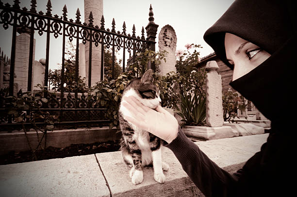 Muslim woman at graveyard with a cat. Sepia - Russet toned.