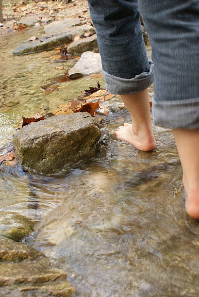 istock Rear View of Stepping Stone Crossing 157525035
