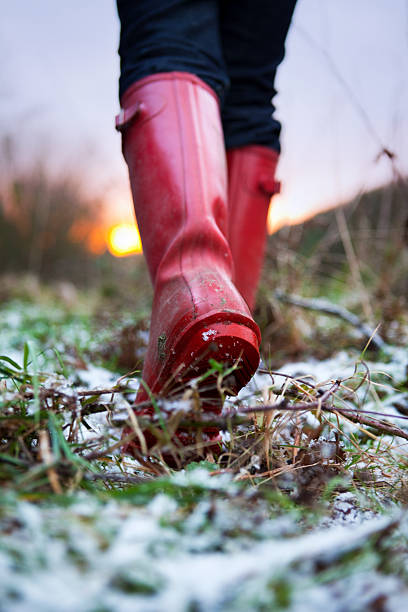 istock Winter Walk in Wellies 157525268