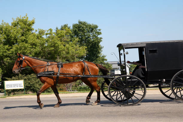 istock Amish Horse & Buggy On Street 157525652