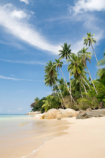 istock Idyllic Island Tropical Paradise 157525791