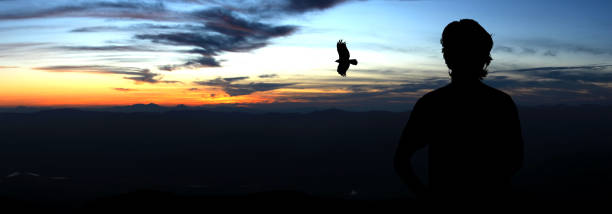 Flying eagle. The eagle soars in the sky and looks for prey. The eagle hunts from the air. Hawk, falcon.