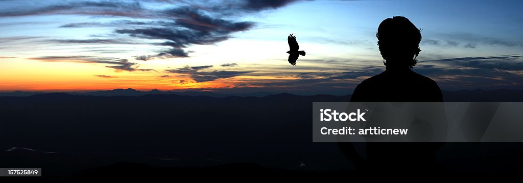 silhouette of man and eagle on top hill  Eagle - Bird Stock Photo