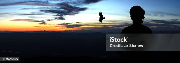 Silhouette Of Man And Eagle On Top Hill Stock Photo - Download Image Now - Eagle - Bird, Bird, Flying