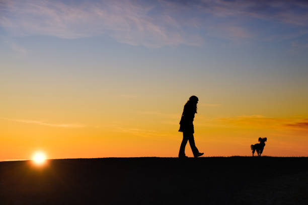 Silhouette of a woman and a dog against sunset sky.