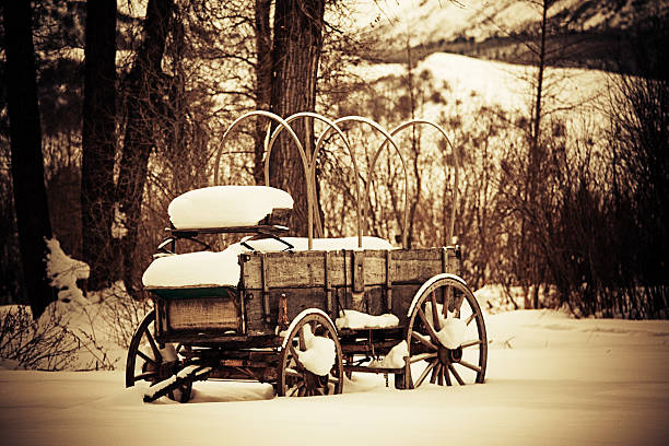 istock abandoned vintage horse carriage 157525906