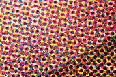 CMYK dots of four-color printing micrograph
