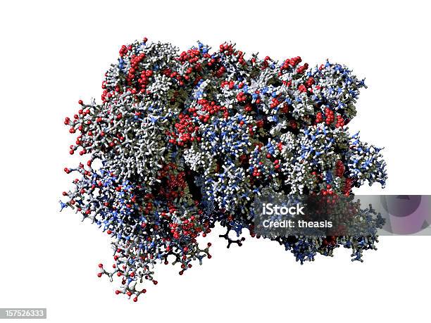 분자 휴머니즘 인터페론 효소에 대한 스톡 사진 및 기타 이미지 - 효소, 단백질, 분자
