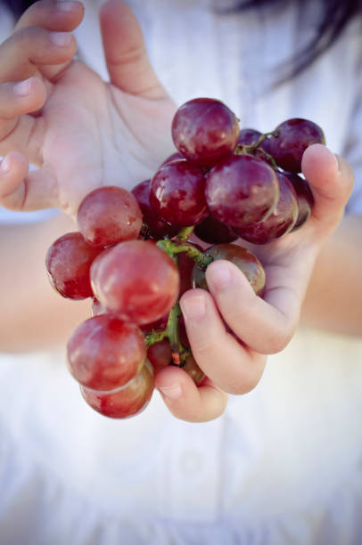 istock Handful of Grapes 157526351