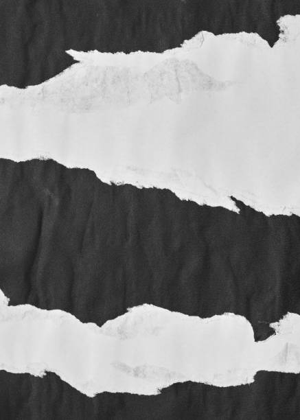 istock Black and White Torn Paper Collage Style, Ripped Paper Effect, Texture Abstract Background, Copy Space for Text. 1575266571