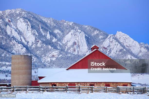 Foto de Boulder Colorado Barn E Flatirons e mais fotos de stock de Agricultura - Agricultura, Animal de Fazenda, Beleza natural - Natureza