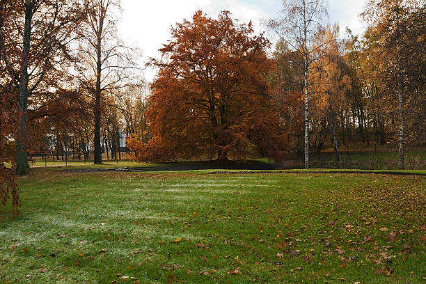 Milan, Lombardy, Italy: the Sempione park in November. Foliage